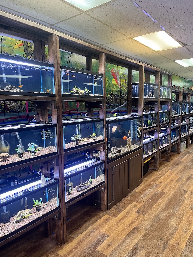 Critter Cove LLC - Photo 4