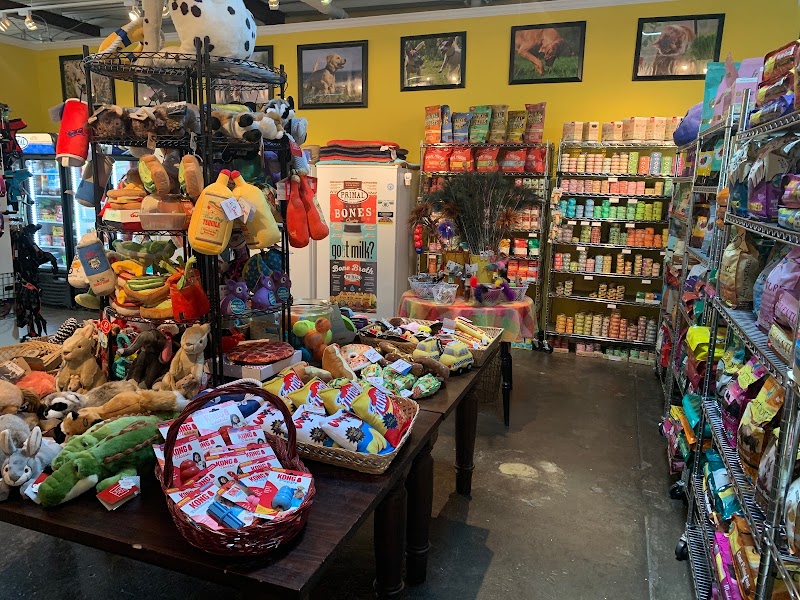 Animal Connection LLC - Photo 4