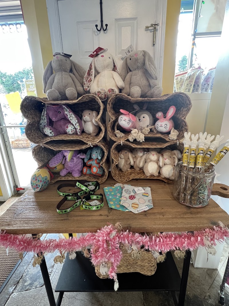 Animal Connection LLC - Photo 5