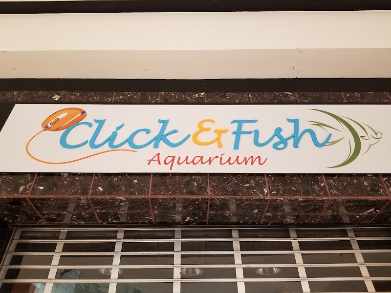 Click & Fish Aquatics - Photo 1