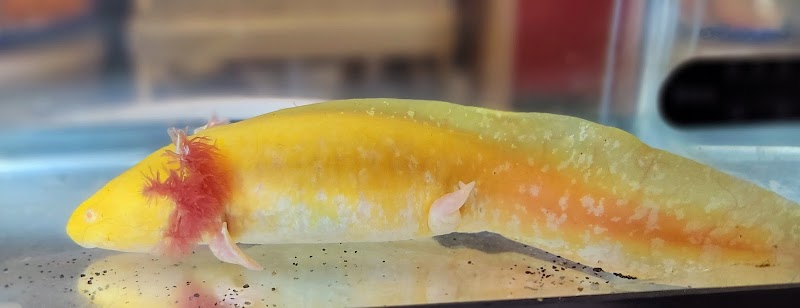 Click & Fish Aquatics - Photo 4