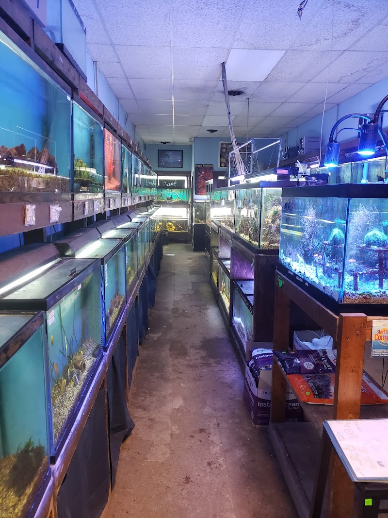 Azalea Aquariums - Photo 3