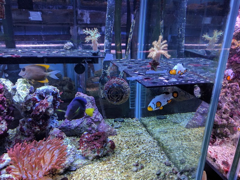 Azalea Aquariums - Photo 4