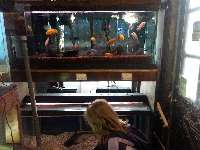 Azalea Aquariums - Photo 5