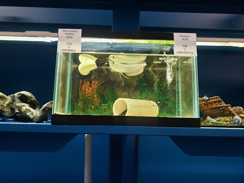 Jungle Aquatics - Photo 3