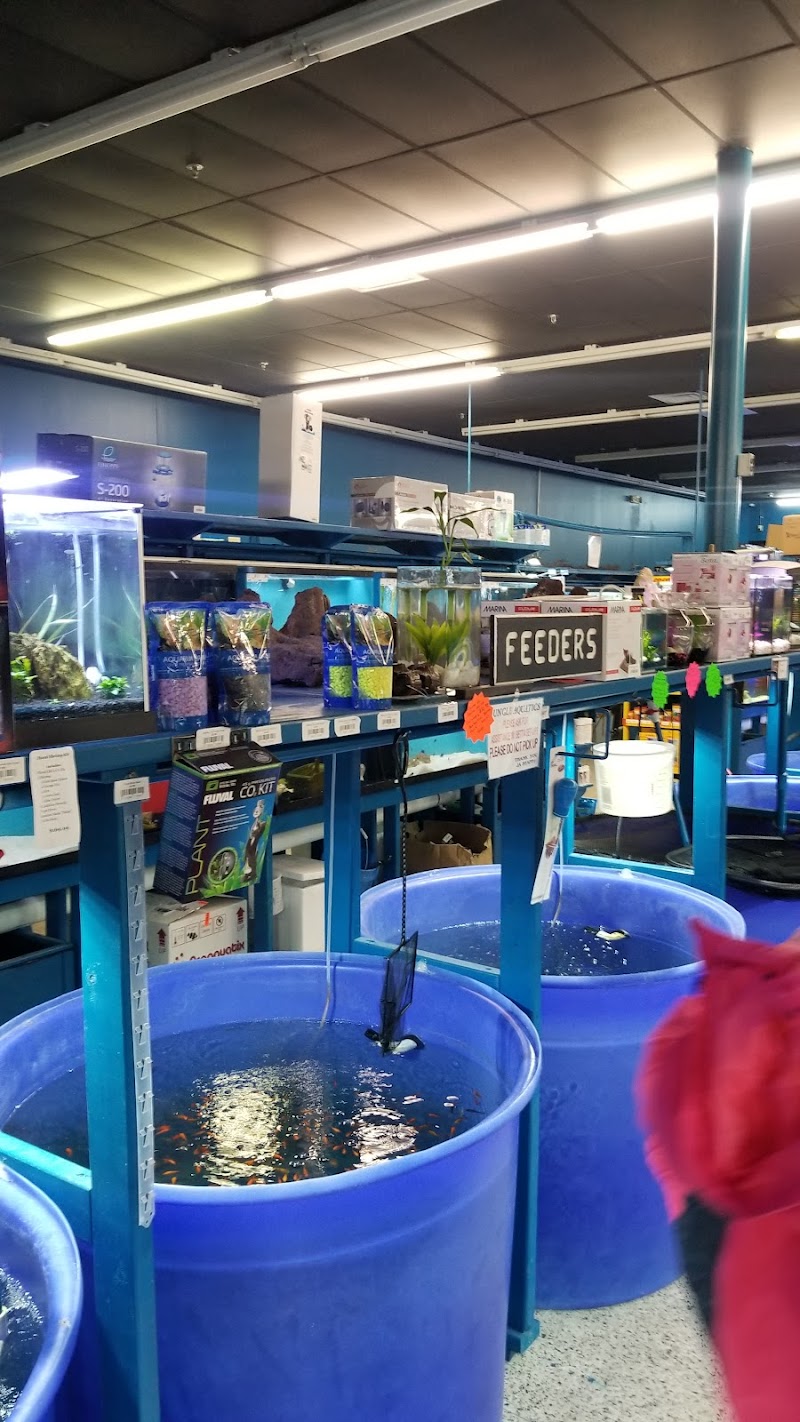 Jungle Aquatics - Photo 4