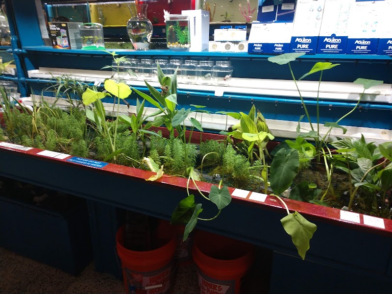 Jungle Aquatics - Photo 5