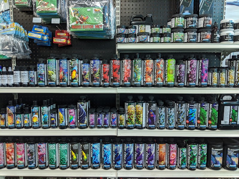 Premier Aquatics - Photo 3