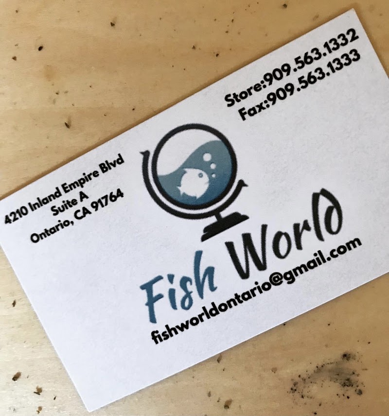 Fish World - Photo 2
