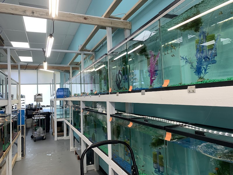 Fish World - Photo 3