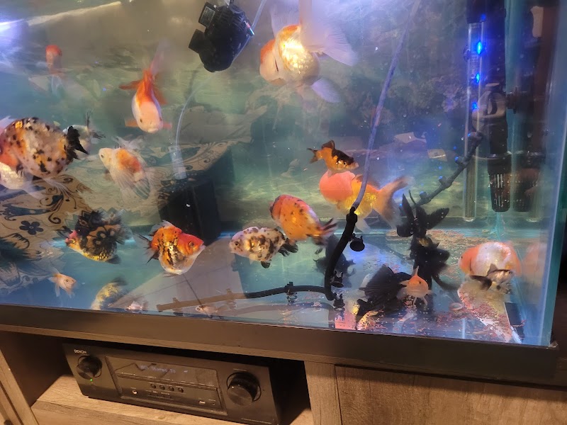 Fish World - Photo 4