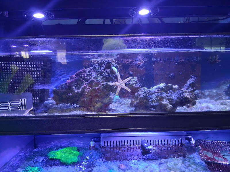 Aquariums Unlimited LLC - Photo 3