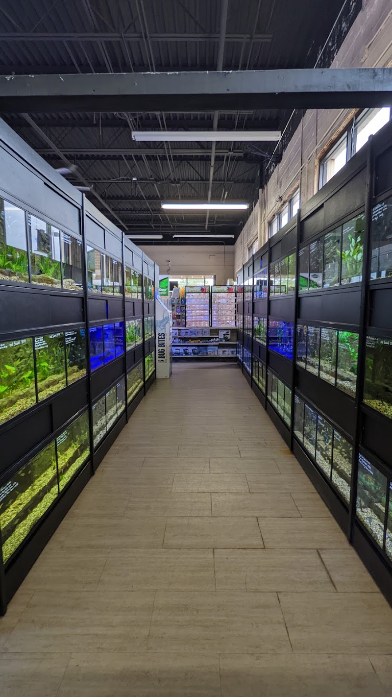 Aquariums Unlimited LLC - Photo 4