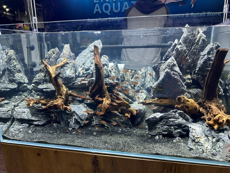 HOMEBRED AQUATICS - Photo 2