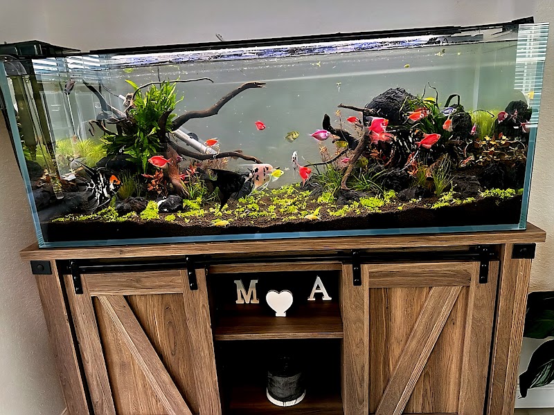 HOMEBRED AQUATICS - Photo 3