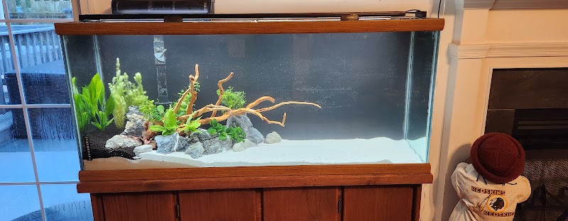 HOMEBRED AQUATICS - Photo 4