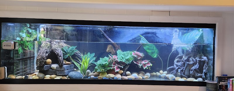 HOMEBRED AQUATICS - Photo 5