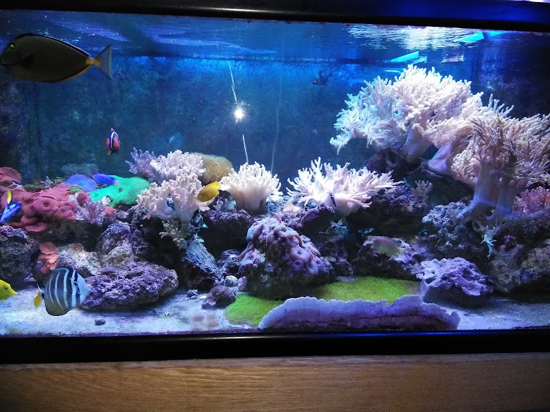 The Reef Room LLC - Photo 3