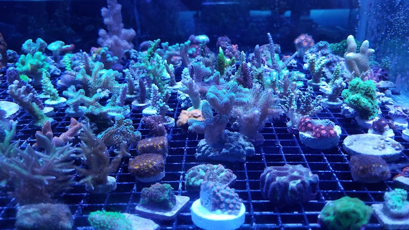 The Reef Room LLC - Photo 5