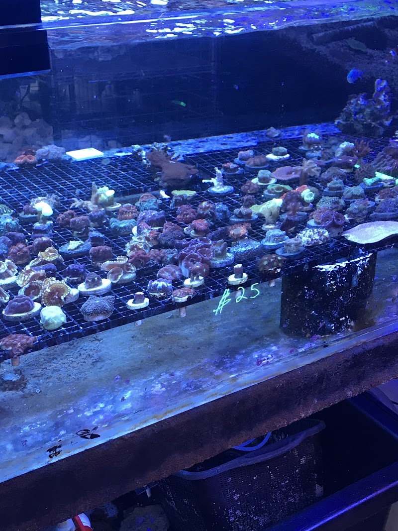 Capital Aquarium - Photo 1