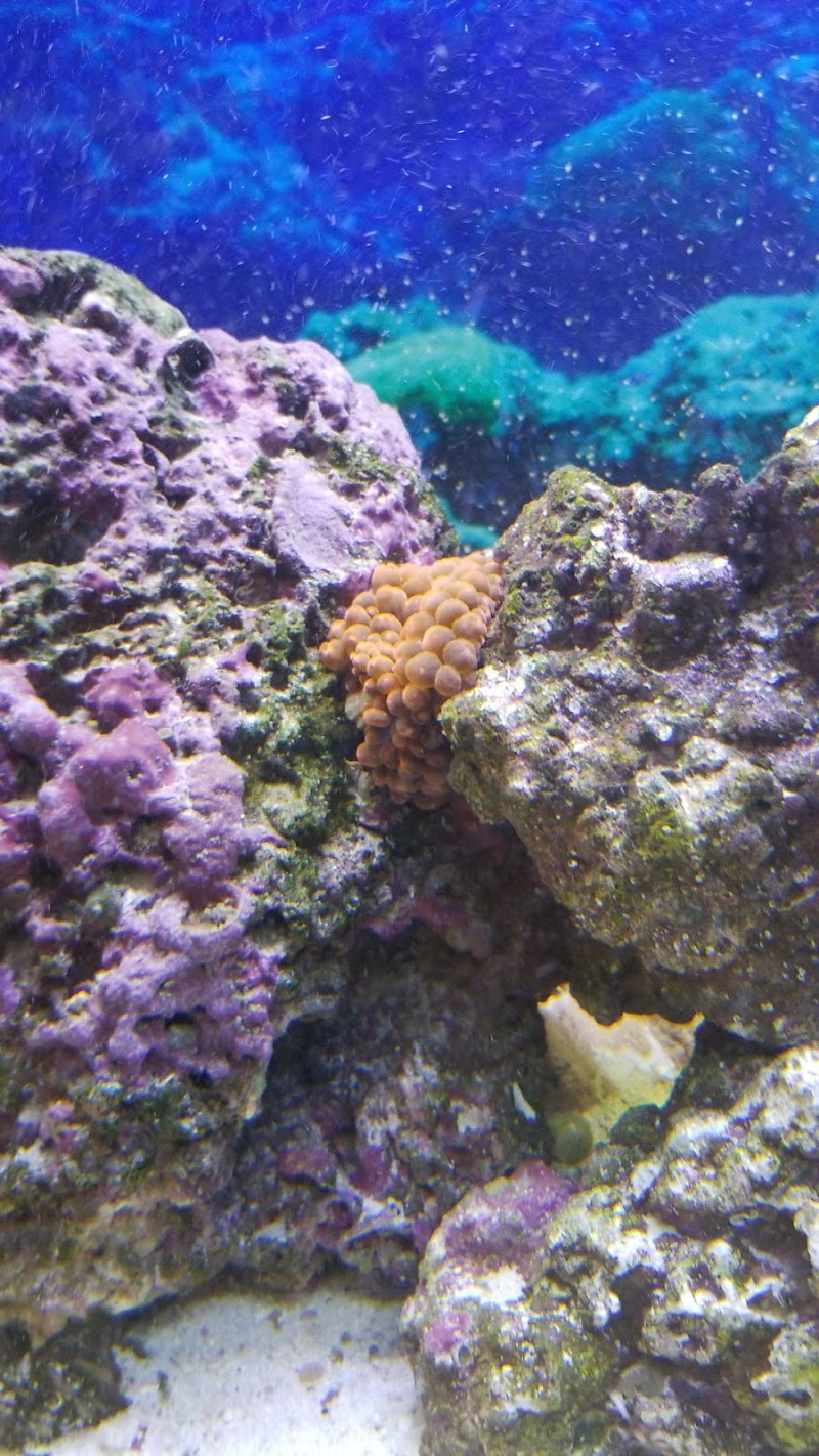 Capital Aquarium - Photo 2