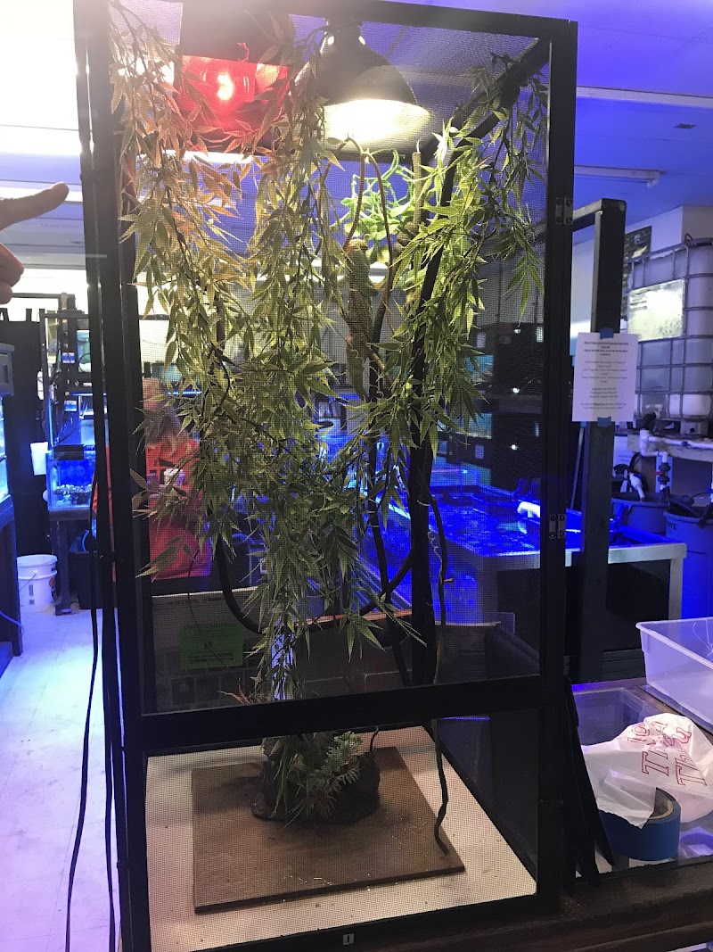 Capital Aquarium - Photo 3