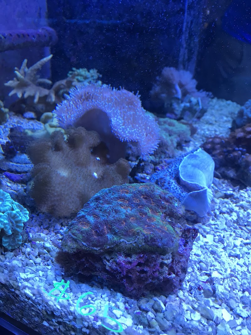 Capital Aquarium - Photo 5