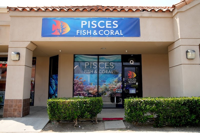 Pisces Fish and Coral - Photo 1