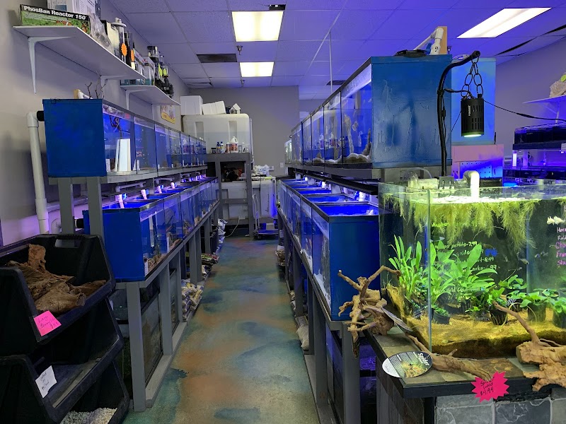 Pisces Fish and Coral - Photo 3