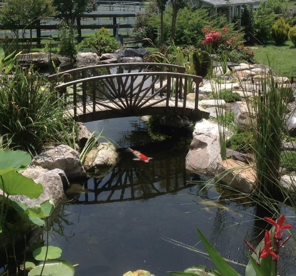 Virginia Water Gardens - Photo 1