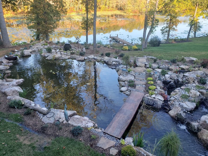 Virginia Water Gardens - Photo 2