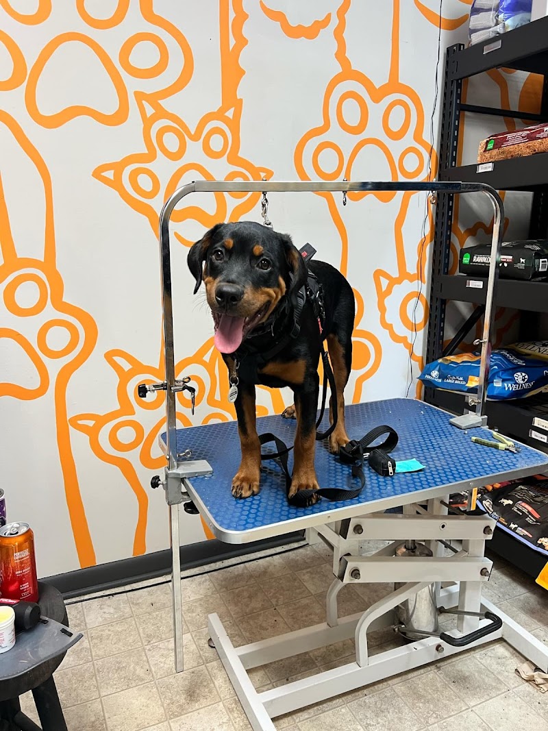 Georgie's Pet Supply - Photo 3