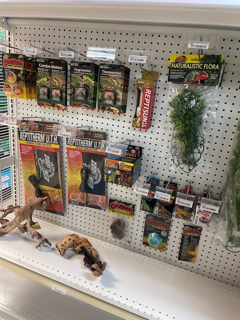 Georgie's Pet Supply - Photo 4