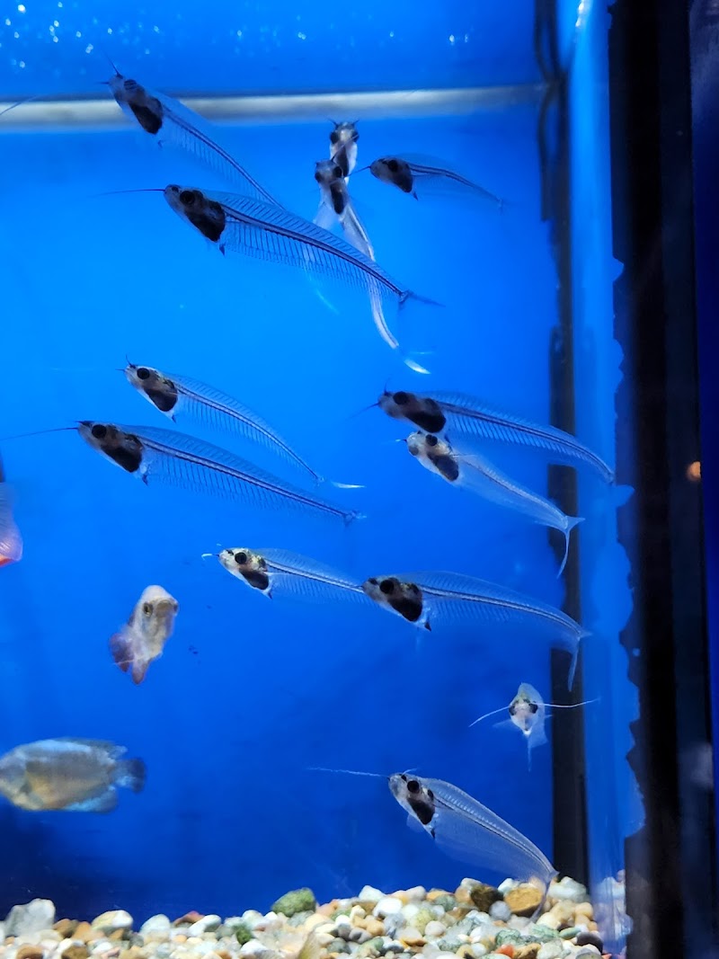 Pet & Aquatic Warehouse - Photo 3