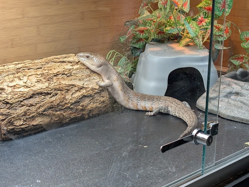 Pet & Aquatic Warehouse - Photo 4