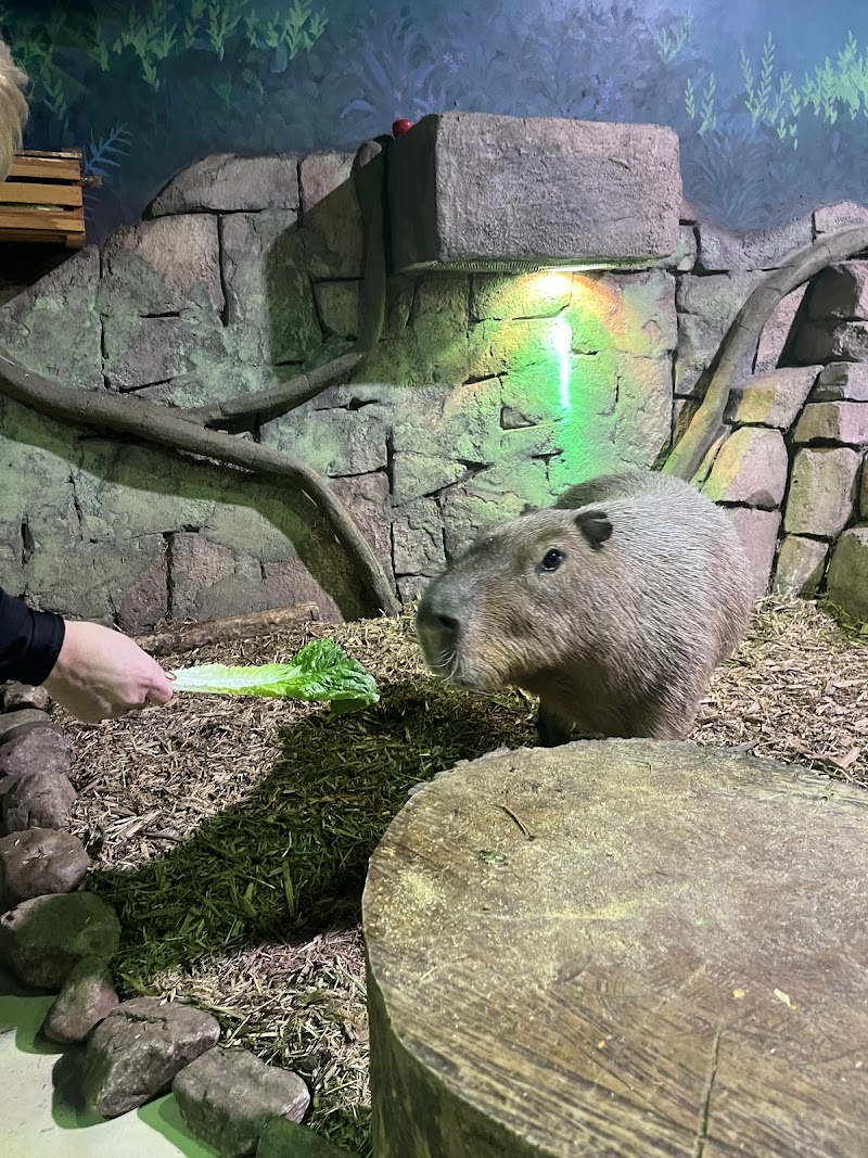 Hill City AquaZoo - Photo 3