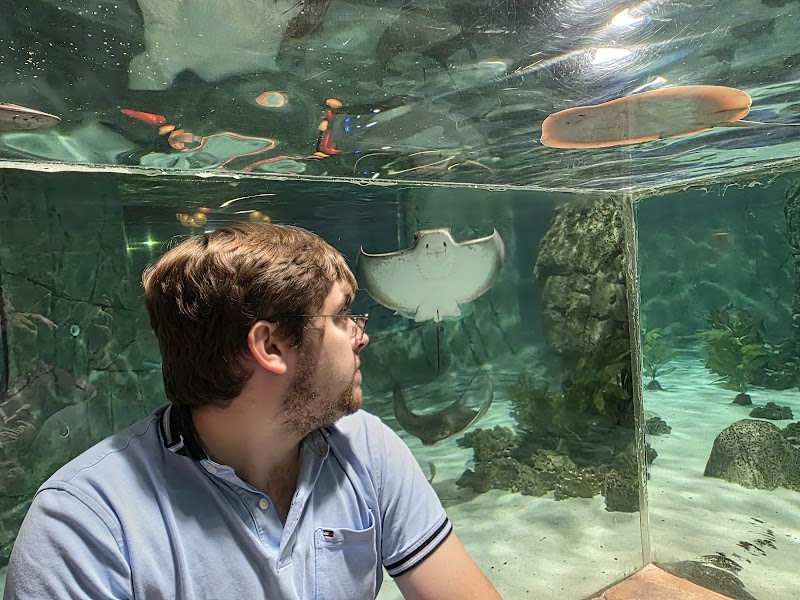 Hill City AquaZoo - Photo 4