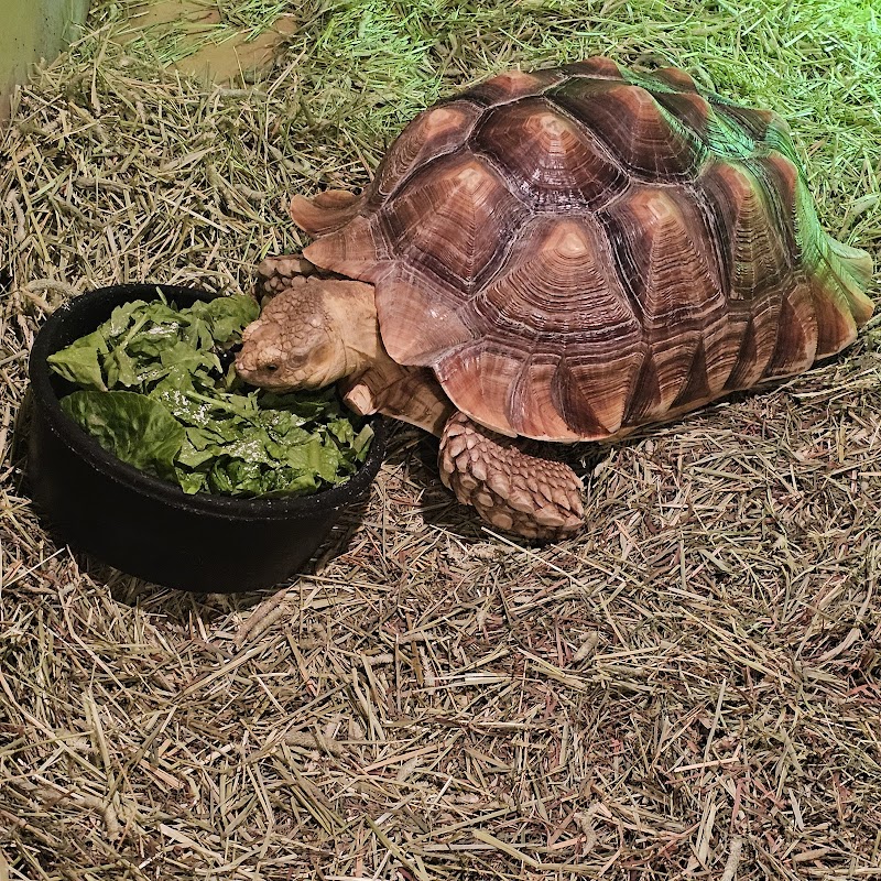 Hill City AquaZoo - Photo 5