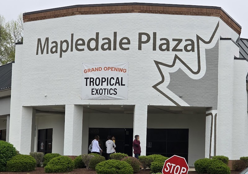 Tropical Exotics - Photo 1