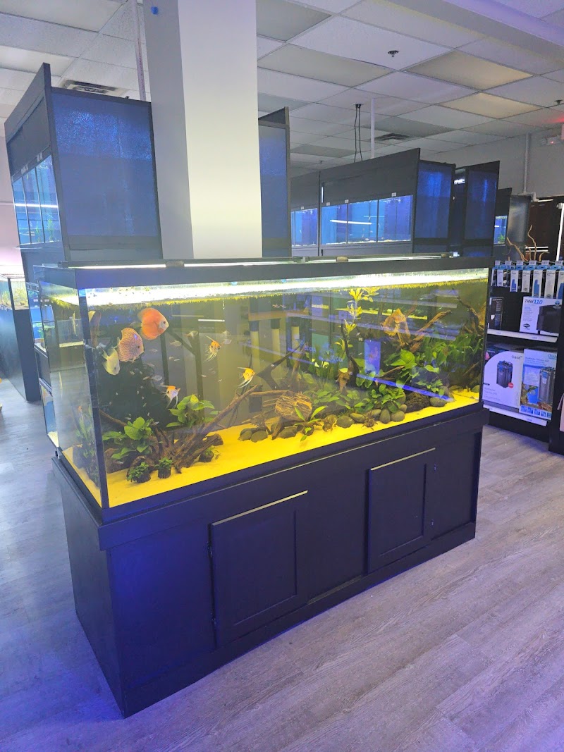 Tropical Exotics - Photo 2