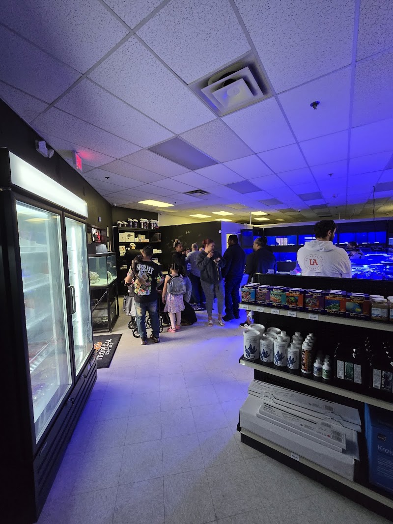 Tropical Exotics - Photo 3