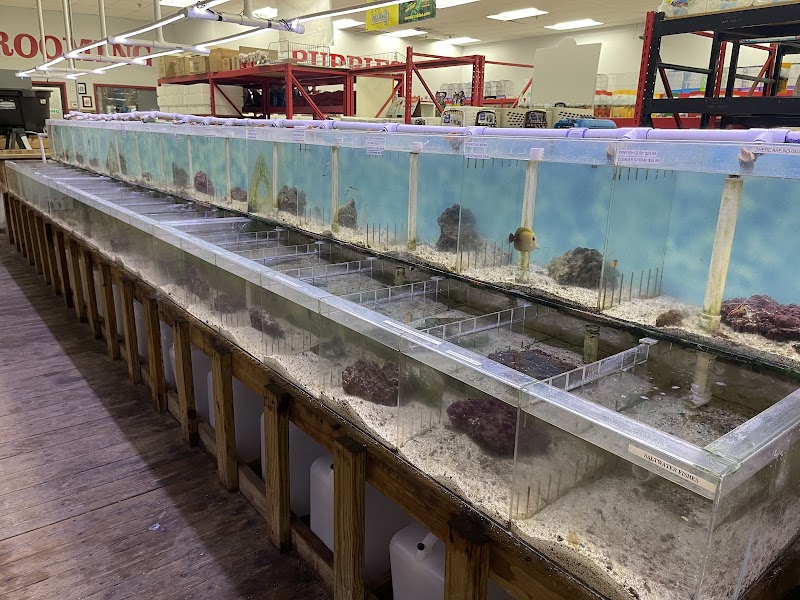 Pet World - Photo 2
