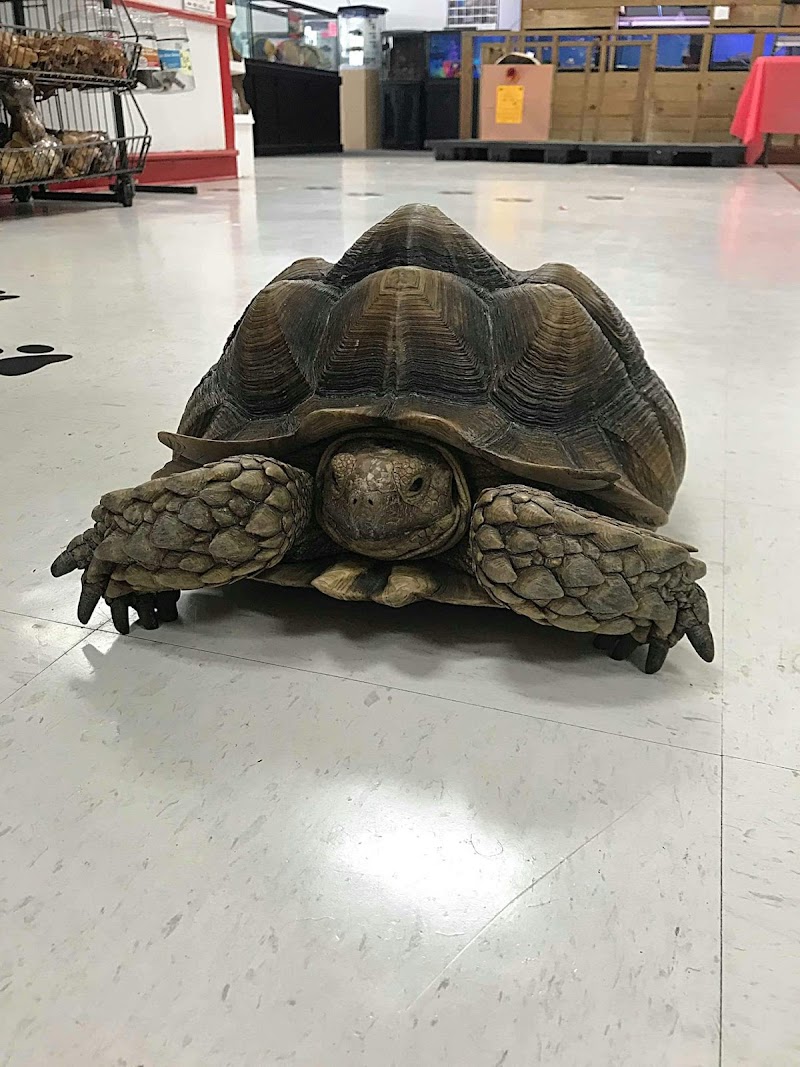 Pet World - Photo 4