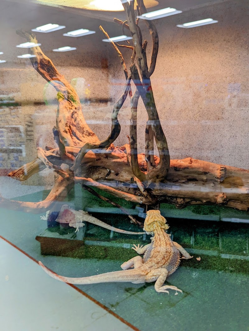 Pet World - Photo 5