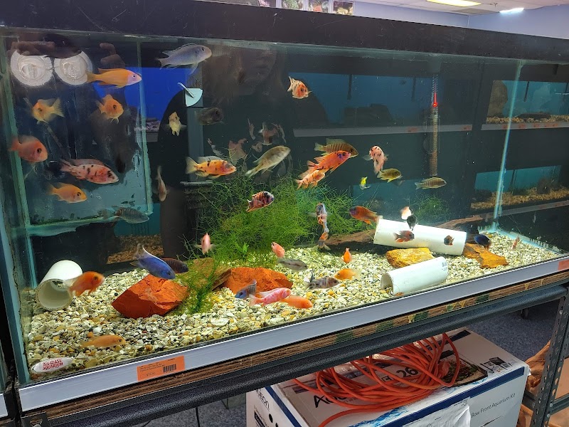 Richmond Aquarium LLC - Photo 2