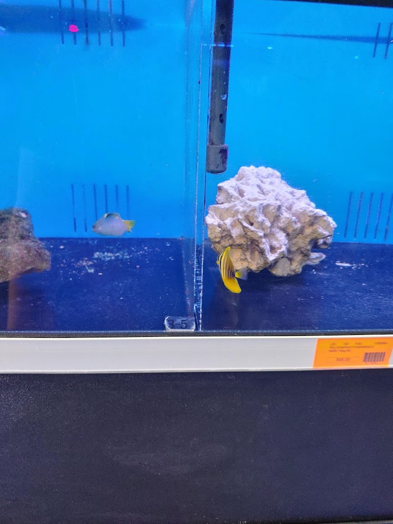 Richmond Aquarium LLC - Photo 3