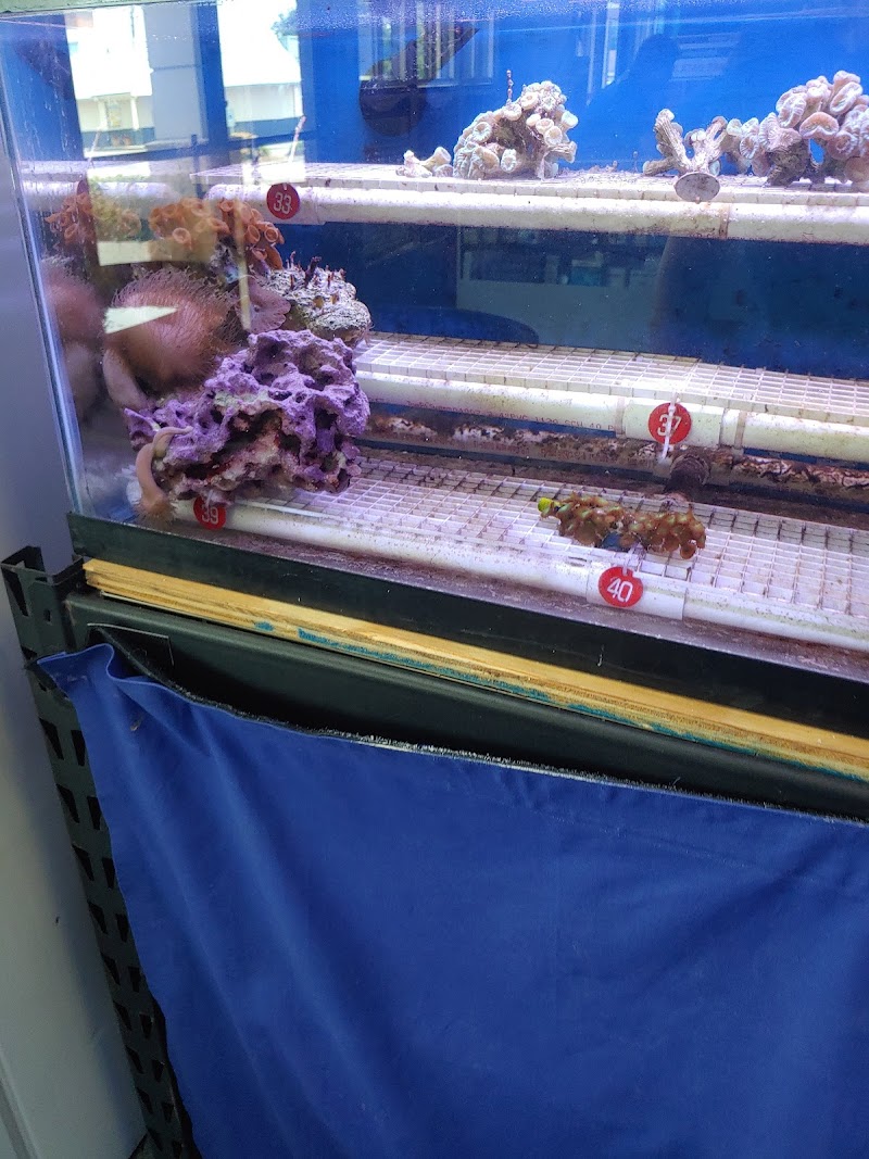 Richmond Aquarium LLC - Photo 4