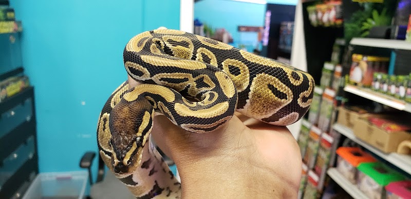 Skoolz of Fish - Photo 5