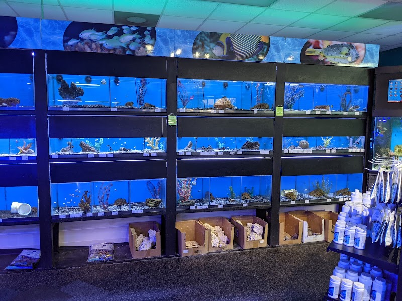 Aquatic Cove - Photo 2