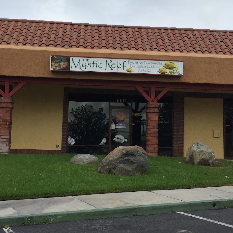 The Mystic Reef - Photo 1